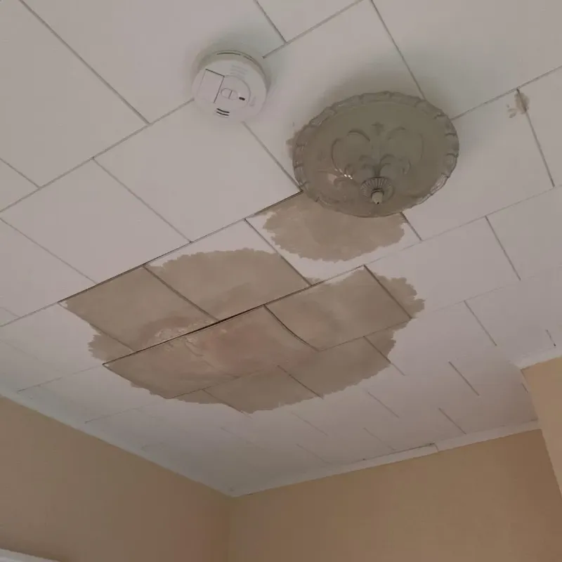 Ceiling Water Damage Repair in Cresson, PA