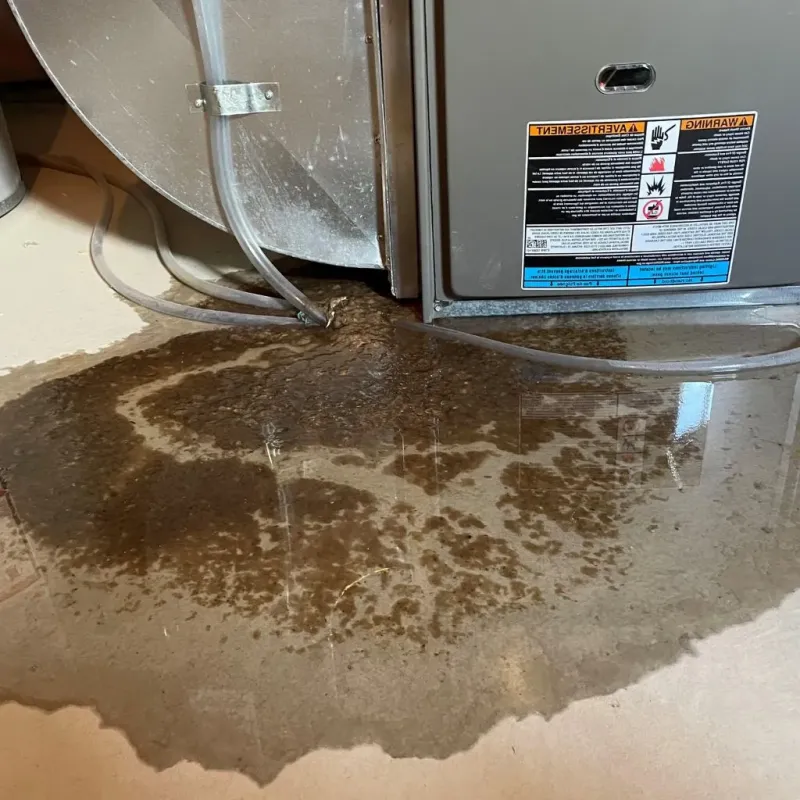 Pipe Burst and Leak Restoration in Cresson, PA