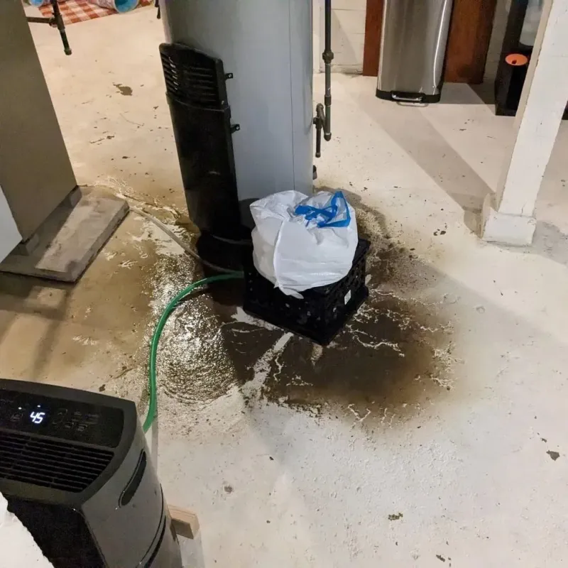Sewage Backup Cleanup Service in Cresson, PA